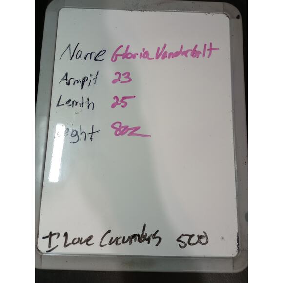 Gloria Vanderbilt Shirt Ladies‎ Extra Large Peach Short Sleeve - Picture 7 of 7